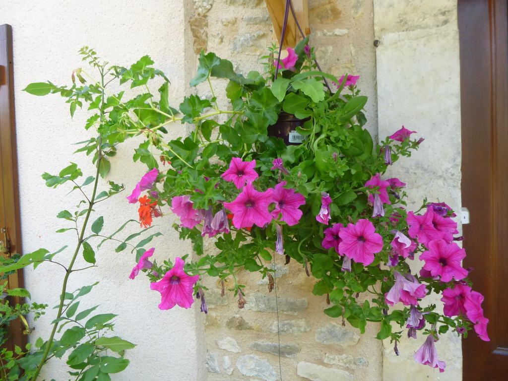 La Roulotte De Pommette Et Billy Bed and Breakfast La Hoguette Εξωτερικό φωτογραφία